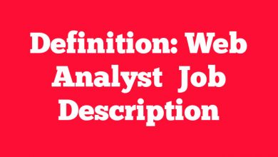 Definition: Web Analyst
 Job Description